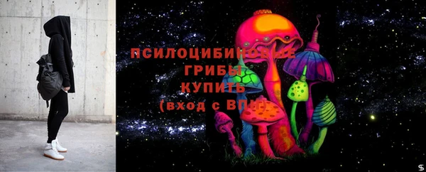 прущие грибы Абинск