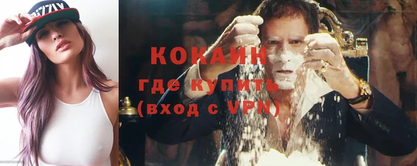 крисы Алексин
