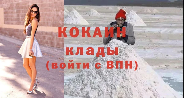 прущие грибы Абинск