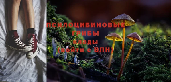 крисы Алексин
