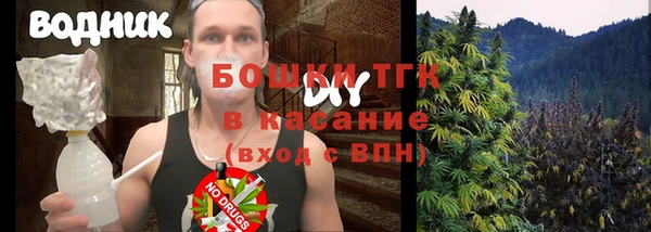 крисы Алексин