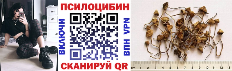 Галлюциногенные грибы прущие грибы  Ангарск 